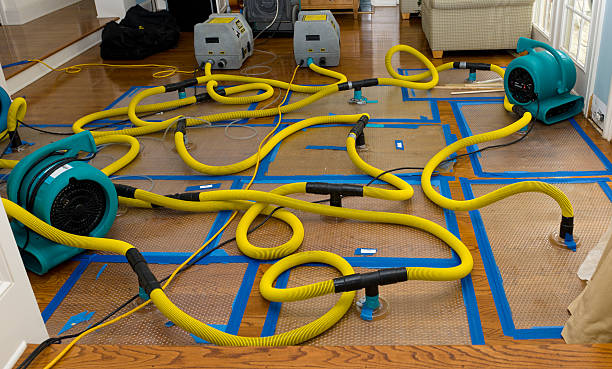 Professional Burst Pipe Water Damage technician working in Sellersville, PA